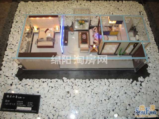 绿茵香洲 B2 1室1厅1卫1厨52㎡.jpg户型图