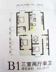新航皂角新城 B1 3室2厅1卫1厨105.38㎡.jpg