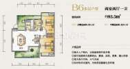 B6多层户型  两室两厅一卫  93平米