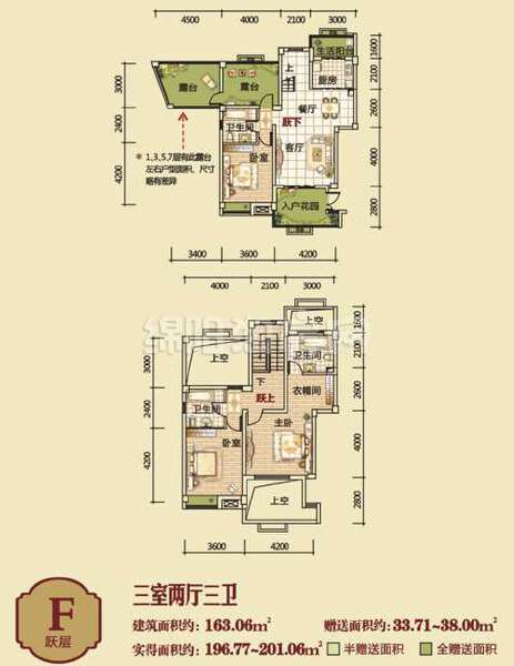 F跃层  三室二厅三卫  163㎡户型图