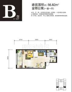 B  一室一廳  56㎡