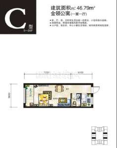 C  一室一廳  46㎡