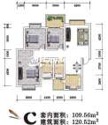 C-120.52㎡
