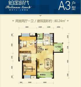 A3-80.24平米-两室两厅一卫