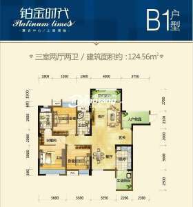 B1-124.56平米-三室两厅两卫
