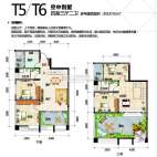 T5-T6 四室三厅二卫 137.02㎡