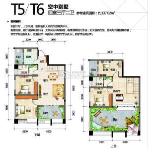 T5-T6 四室三厅二卫 137.02㎡