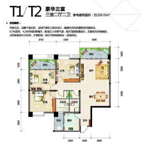 T1-T2三室二厅二卫 109.70㎡