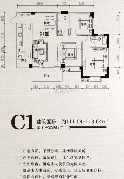 C1 三室两厅双卫 111.04--113.64平米户型图