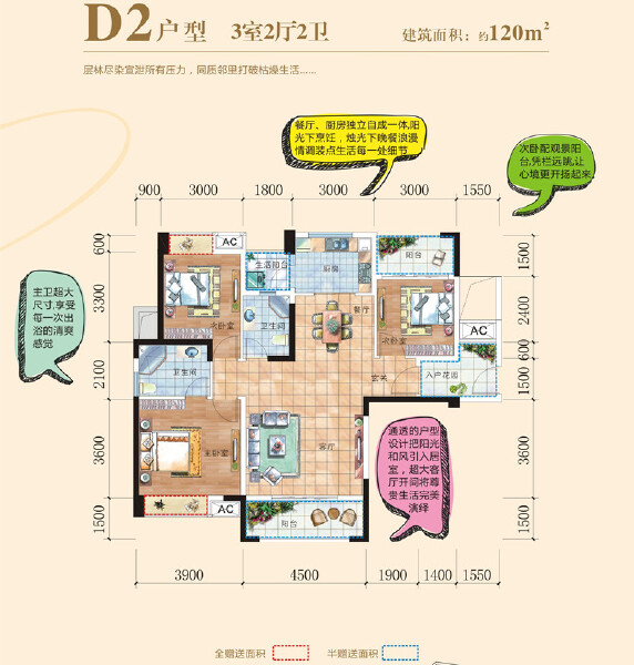 D2户型图