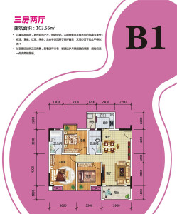 B1 三室两厅两卫 103.56㎡