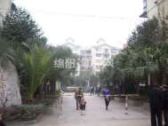金达小区