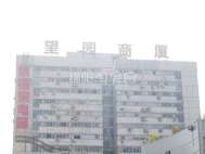 望园商厦