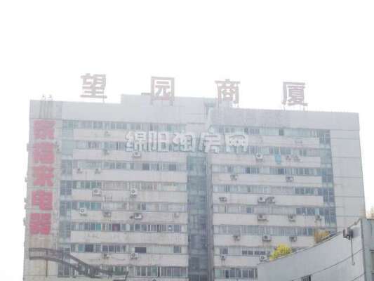 望园商厦