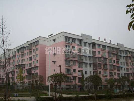 橄榄园