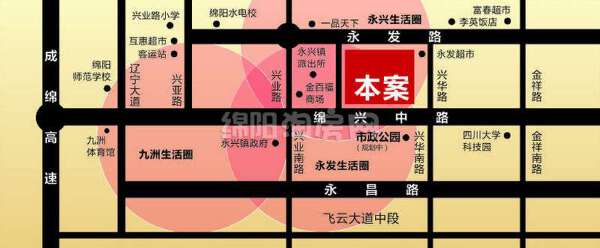  远达美美国际  