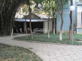 人民公園(近)