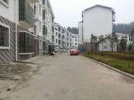 游仙紫阳村