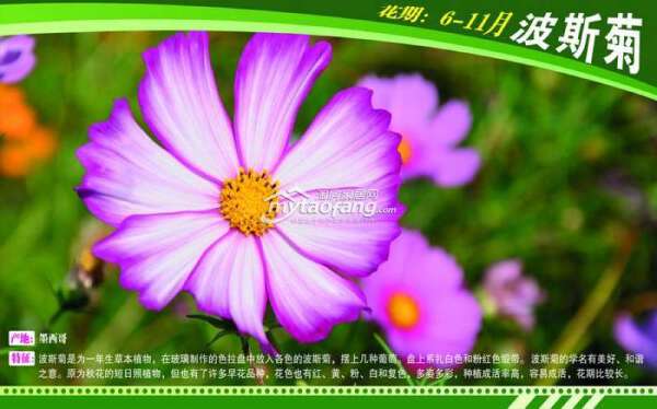 原香&#8226;國際香草園