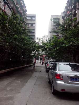 小区内