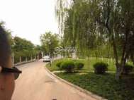体运村路（近）