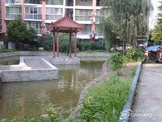  滨江名都 