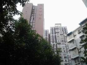东景鑫座