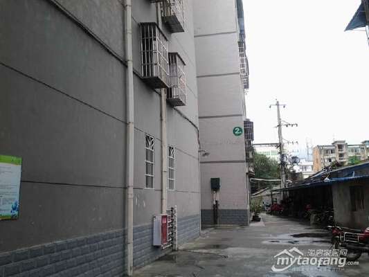 圣地清华