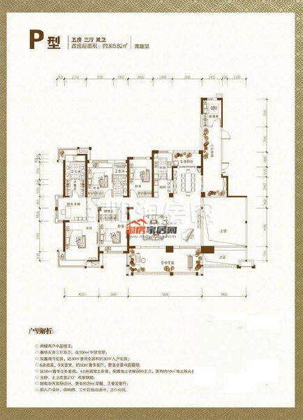 P户型 5室3厅2卫 305.82㎡户型图