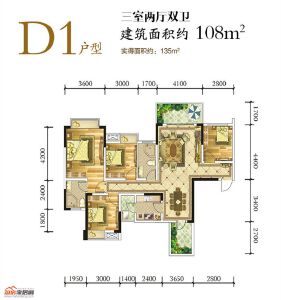 D1户型