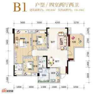 B1户型