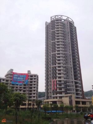 实景图