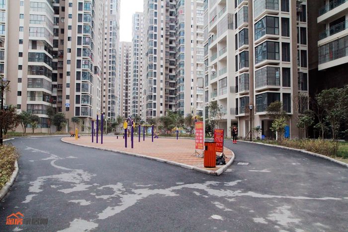 实景图