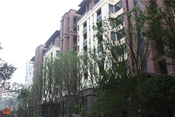 东原城实景图