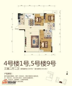 4号楼1号 5号楼9号三室两厅两卫