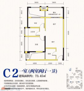 C2