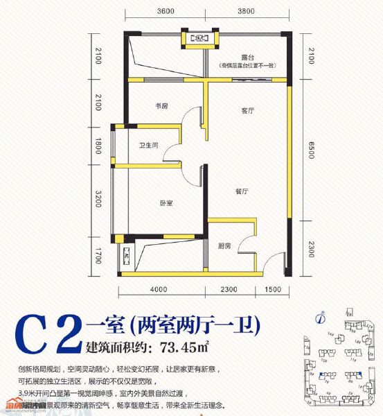 C2户型图