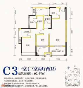 C3
