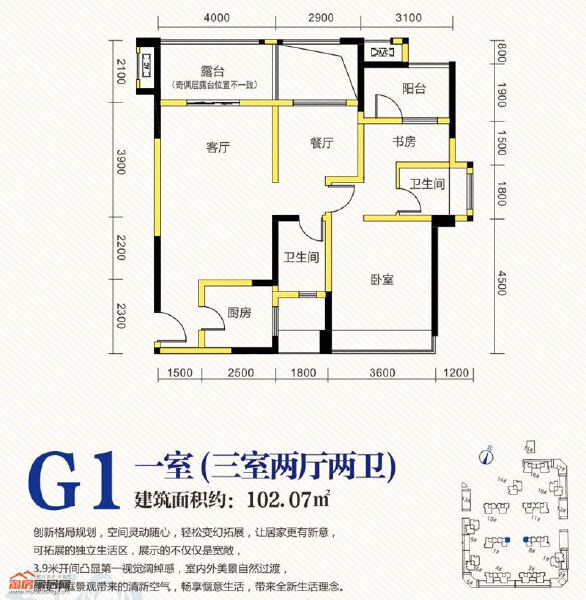 G1户型图