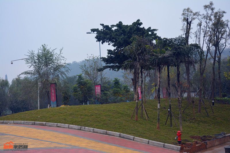 09170916089bedf9059680.jpg