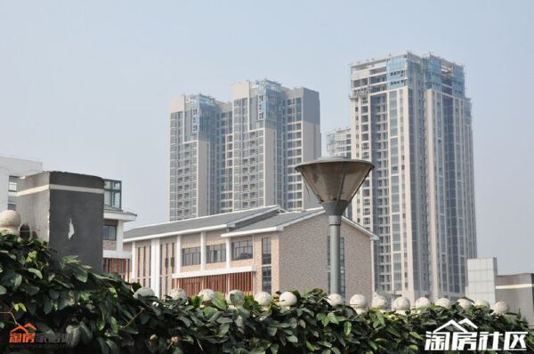 实景图