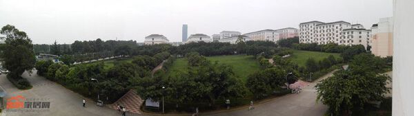 实景图