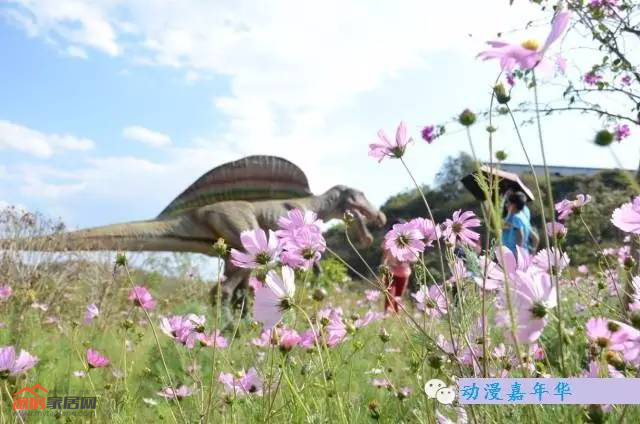 图片25.png