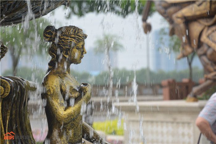 DSC_0035.jpg