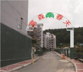 富森春天