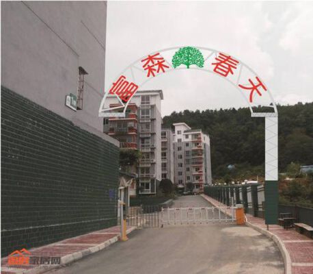 富森春天