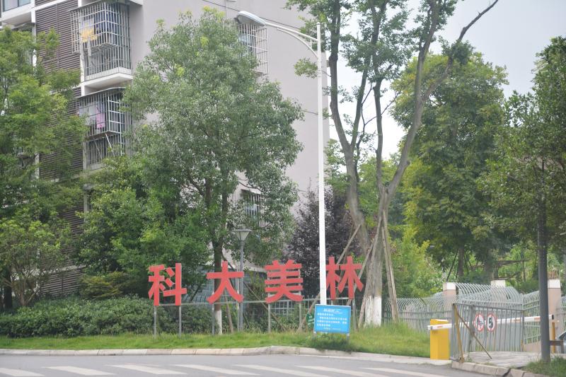 科大美林
