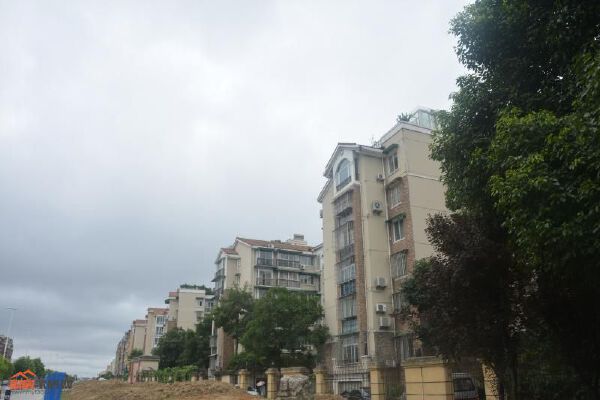 阳光清华
