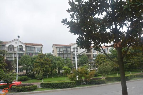 阳光清华
