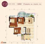 C2